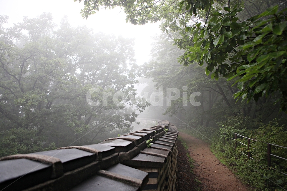 trail,stone wall,dam,forest,castle,road,forest path,Namhansanseong Fortress,fog