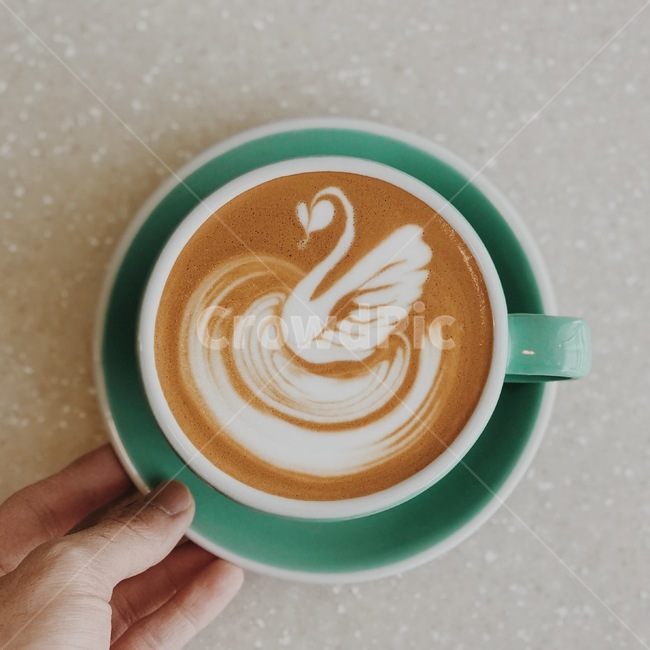백조,스완,라떼아트,라떼,아트,커피,카페,coffee,cafe,감성,sensible,feeling