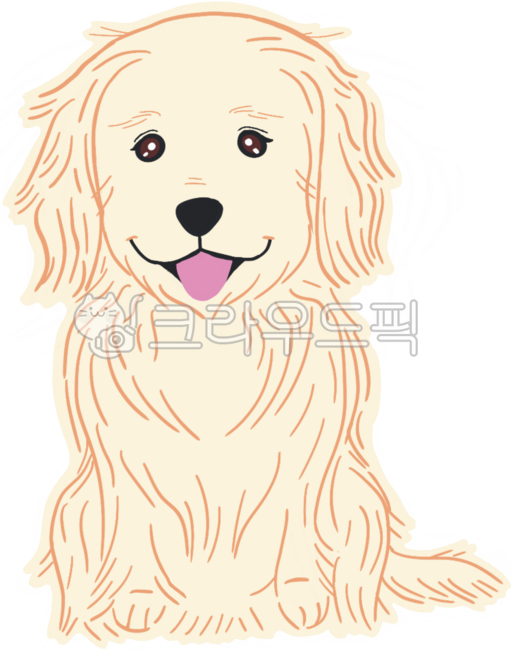 리트리버,강아지,개,강아지의날,견종,펫,펫샵,유기견,유기견보호소