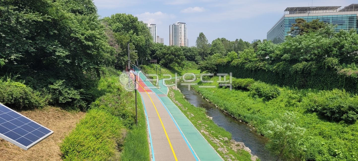 nature,outdoor,trail,path,outdoors,road,road name,park