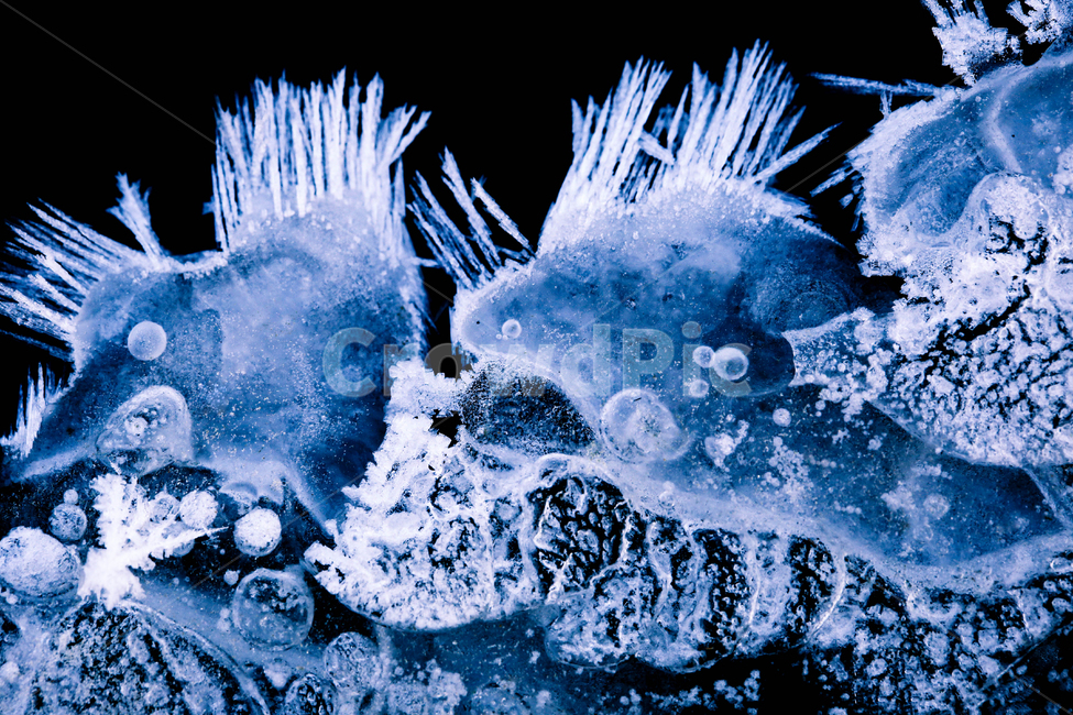 Ice fish,frost,snow,macro photography,ice,fish shape