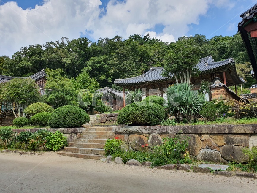 나무,하늘,절,송광사,구름,nature,자연,한국전통,한국문화,korean traditional,korean culture