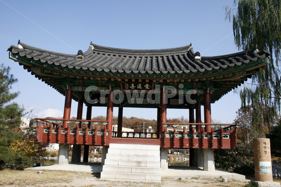 하늘,애련정,나무,정자,한국,전통,기와지붕,기와,한국전통,한국문화,korean traditional,korean culture,건축물,건물외관,exterior,building,structure,architecture,construction