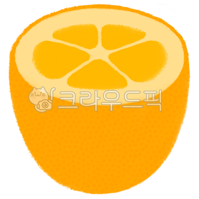 Bbaengkang,bbaengkang illustration,bbaengkang drawing,bbaengkang image,bbaengkang cross section,bbaengkang piece,kumquat,kumquat illustration,kumquat drawing,kumquat image,kumquat cross section,kumquat piece