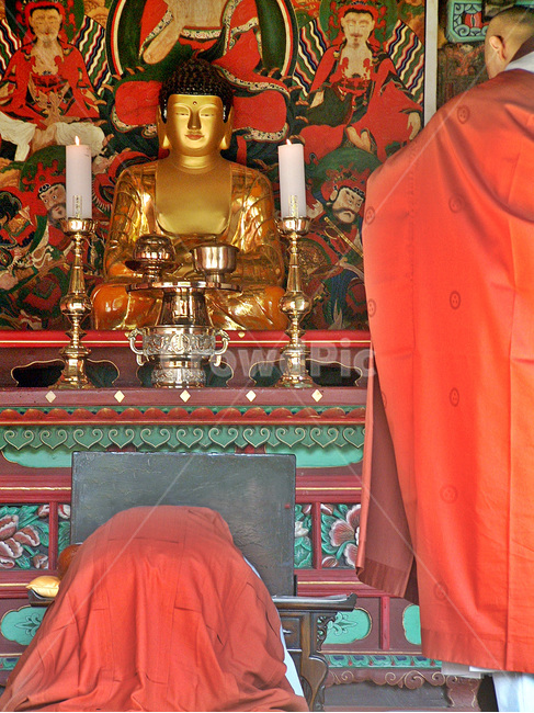 절,사찰,예불,스님,부처님,사람,인물,인간,human,person,남성,남자,man,male,종교,신앙,religion,belief,faith
