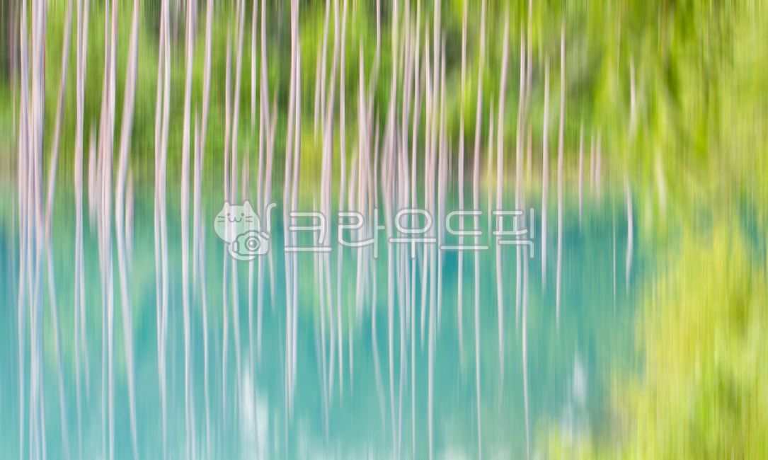 blue pond,pond,in the woods,forest,dead wood,reflection,nature,Hokkaido,hokkaido,Aoiike,blue,outdoors,mysterious,garden,lake,park