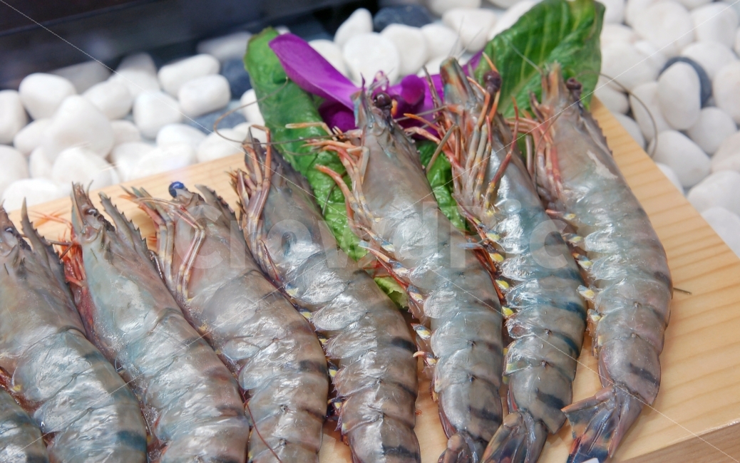 새우,대하,해산물,수산물,해물,음식,오브젝트,식재료,음식재료,요리재료,음식,식재료,요리,food,cook,meal,dishes,food reserves,수산물,해산물,fishery products,seafood
