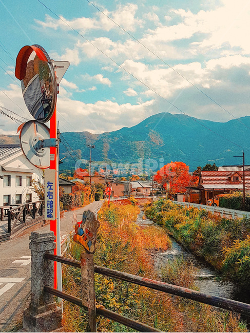 가을,단풍,가을풍경,자연,풍경,산,단풍나무,가을,계절,fall,autumn,season,해외,외국,세계,foreign,oversea,world