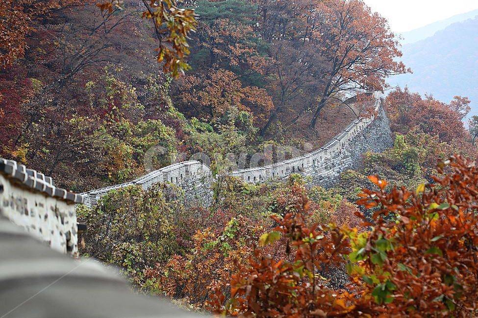 남한산성,성,성곽,단풍,낙엽,길,둘레길,숲,숲길,담,돌담,가을,자연,풍경,벽,울긋불긋,산성,식물,가을,계절,fall,autumn,season,한국전통,한국문화,korean traditional,korean culture