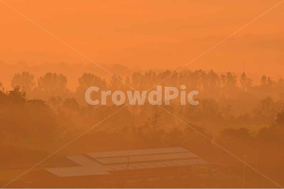 전남,함평,밀재,밀재일출,여명,아침,해돋이,sky,하늘,dawn,새벽,redsky,붉은하늘,fog,안개,plant,식물,nature,자연,outdoors,옥외,scenery,풍경,landscape,경치,mountain,산