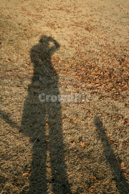 잔디,그림자,낙엽,겨울,shadow,사람,인물,인간,human,person,인물실루엣,사람실루엣,character silhouette,human silhouette,ground,바닥,gravel,자갈,road,도로,dirt road,흙길,asphalt,아스팔트