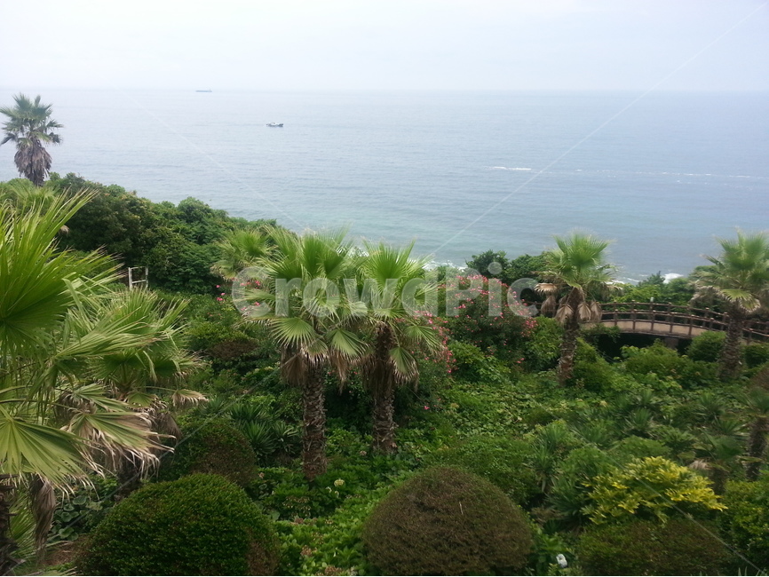 자연,풍경,바다,배경,녹색,나무,자연,풍경,nature,landscape,summer,여름,outdoors,옥외