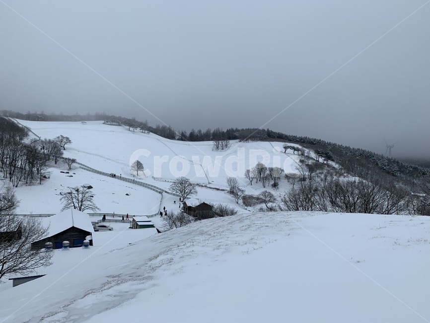 nature,자연,겨울,winter,눈덮인마을,눈,snow,대관령,대관령양떼목장,겨울전경