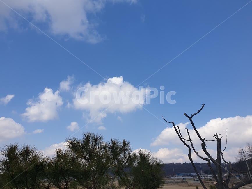 풍경,하늘,나무,햇빛,구름,자연,풍경,nature,landscape,outdoors,옥외