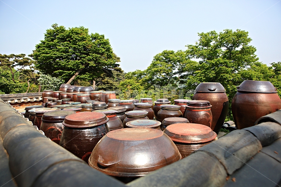 항아리,독,전통,장독,풍경,배경,자연,한국전통,한국문화,korean traditional,korean culture
