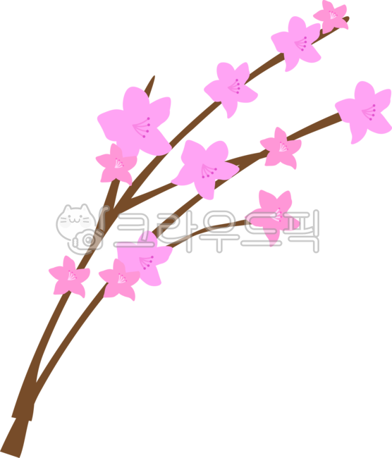진달래,철쭉,plant,식물,flower,blossom,꽃,봄꽃,분홍꽃,분홍색,pink,spring,예쁜꽃,봄식물,꽃그림,자연,nature,꽃잎,꽃일러스트,꽃이미지,계절,플로랄,장식,디자인소스,플로랄디자인,봄꽃그림,꽃밭,자연물,환경구성