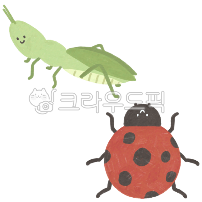 곤충,곤충그림,봄곤충,봄,벌레,곤충일러스트,방아깨비,무당벌레,메뚜기,메뚜기그림,방아깨비그림,무당벌레그림