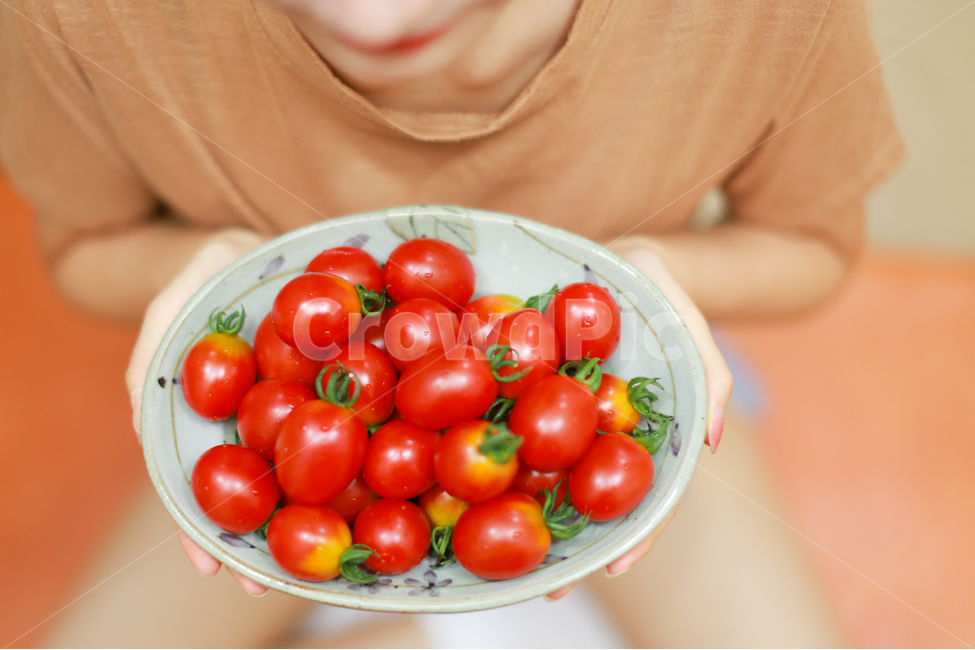 토마토,방울토마토,과일,다이어트,tomato,사람,인물,인간,human,person,신체일부,몸,body,음식,식재료,요리,food,cook,meal,dishes,food reserves,과일,열매,fruit,채소,야채,vegetables