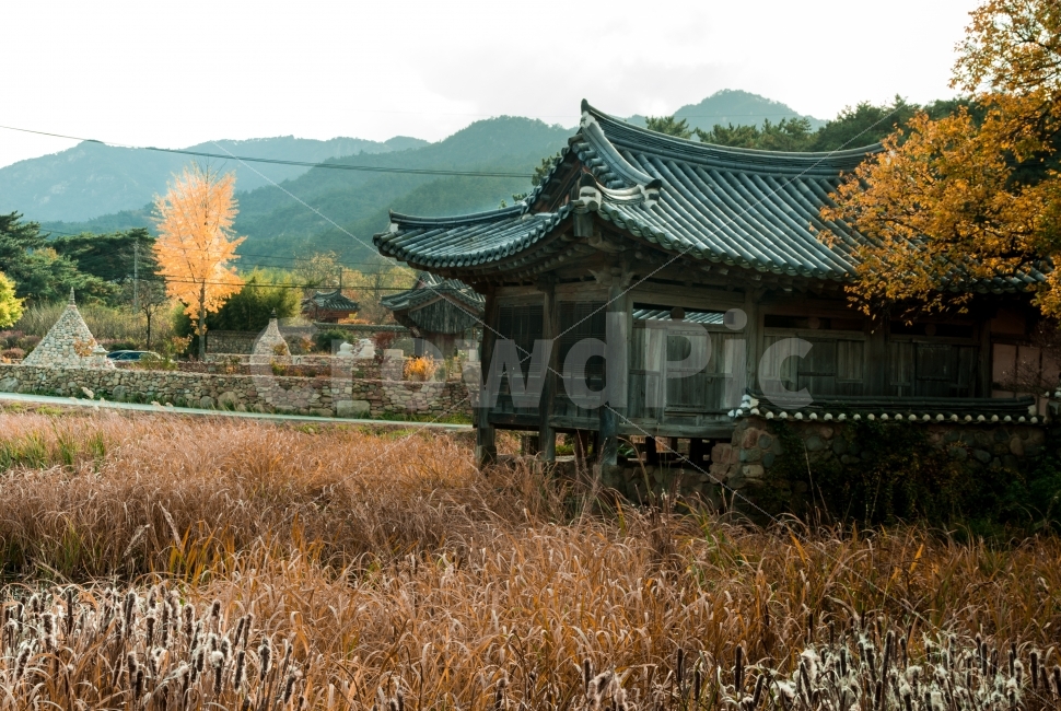경주,서출지,이요당,사적지,관광지,경북산림환경연구원,통일전,화랑교육원,전통건축,한옥,정자,기와,연못,가을,단풍,풍경,신라,전설,가을,계절,fall,autumn,season,한국전통,한국문화,korean traditional,korean culture,건축물,건물외관,exterior,building,structure,architecture,construction