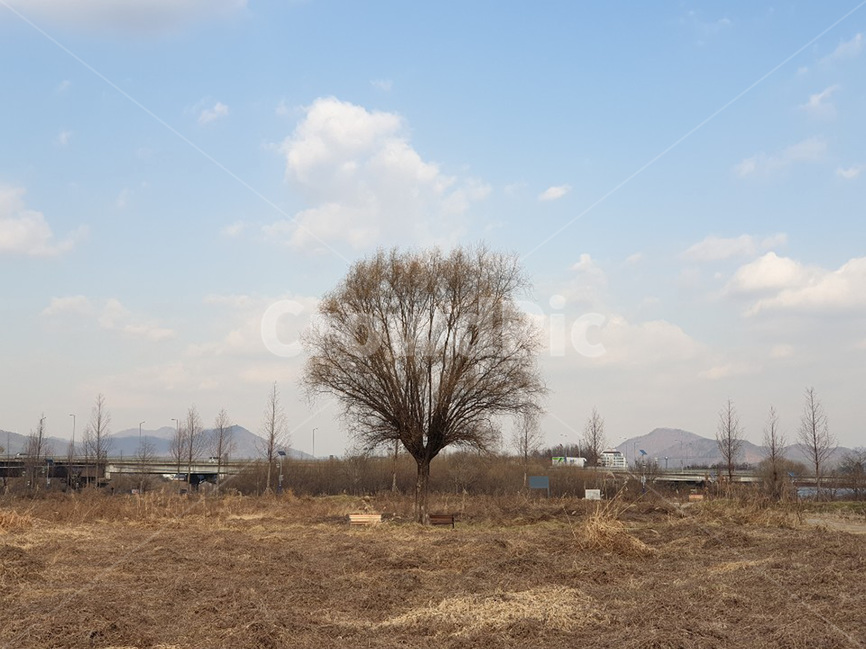 tree,나무,sky,하늘,산책,walk,겨울,winter,가을,계절,fall,autumn,season,자연,풍경,nature,landscape,outdoors,옥외