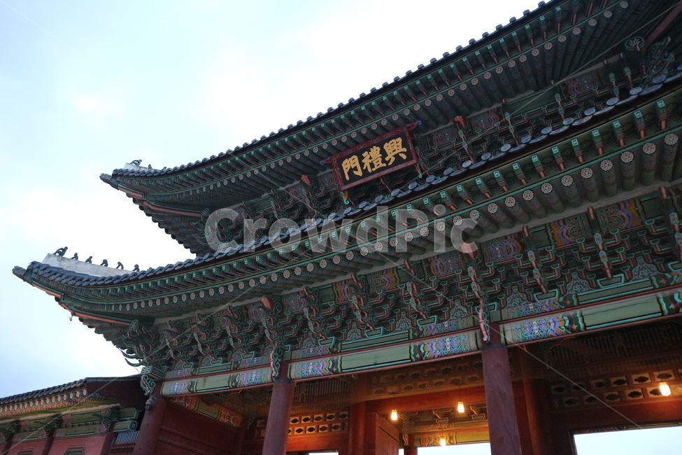 경복궁,경복궁야간개장,광화문,문화재,궁궐,랜드마크,한국의랜드마크,대한민국역사박물관,한국문화,한국전통,역사,궁,서울,서울밤,야경,서울야경,기와,건축,건축물,건물,한국적,한국역사,조명,전통,전통적인,전통무늬,처마,왕,왕비,왕족,근현대사,문화,명성황후,고종,근정전,어도,조정,을미사변,웅장한,궁녀,koreantraditional,korean,seoul,nightview,night,gyeongbokgung,palace,culturalheritage,landmark,gwanghwamun,tradition