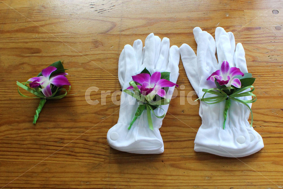 결혼식,결혼식장갑,결혼식꽃,wedding,weddinggloves,weddingflowers,weddingglovesflowers,꽃,flower,결혼,혼례,웨딩,wedding,marriage,marry