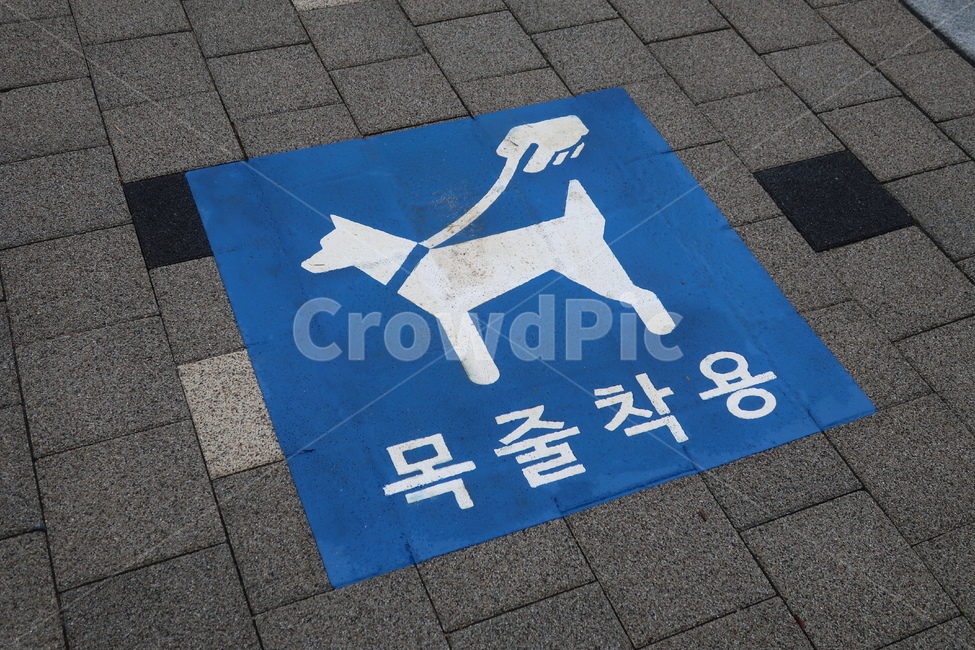 공원,반려견,강아지,견주,목줄,착용,표시,표지,개,산책,과태료