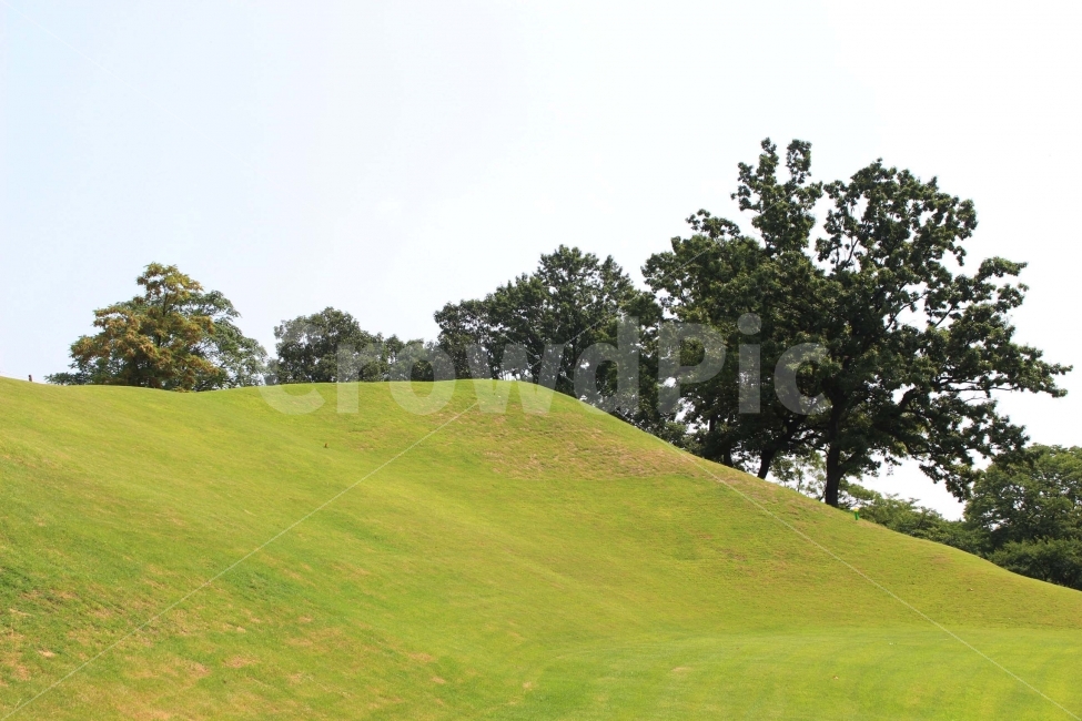 하늘,나무,식물,자연,야외,공원,정원,풍경,자연,풍경,nature,landscape,grassland,목초지,outdoors,옥외,field,들,mound,투수판