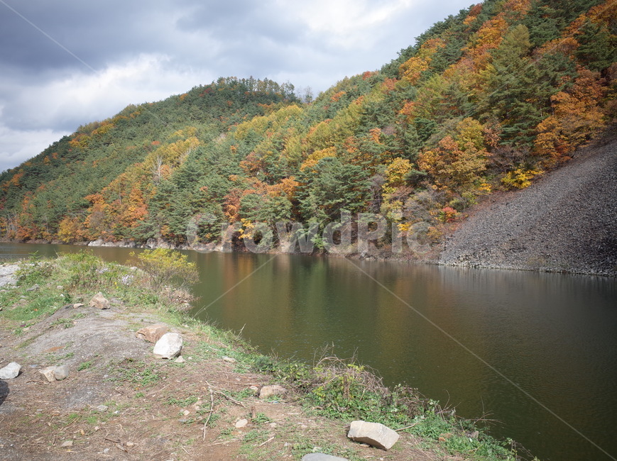 충주호,자연,호수,나무,단풍,강,water,outdoors,nature,river,자연,풍경,nature,landscape