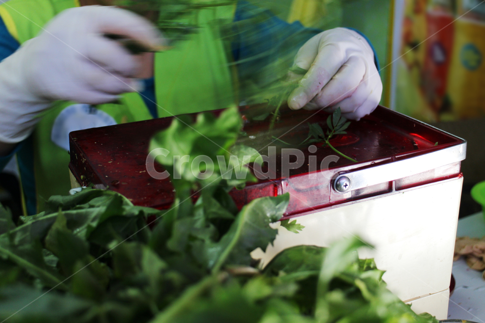 green,salade,juice,shop,kiosk,plant,샐러드,주스,음료,beverage,착즙,squeeze,남미,southamerica,아레키파,arequipa,mercado,peru,supermarket,local,재래시장,마켓,시장,페루