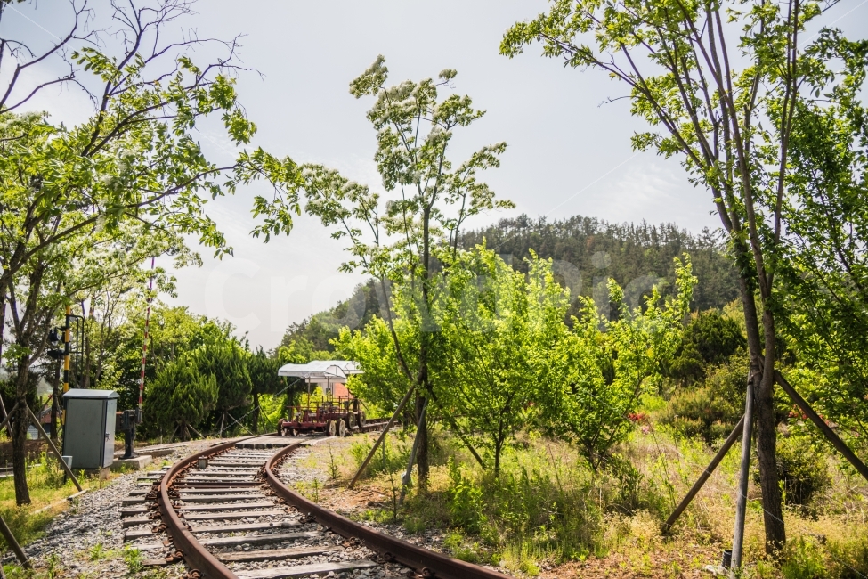풍경,기차길,철길,여름,기차역,자연,풍경,nature,landscape,교통,교통수단,traffic,transportation,train track,기찻길,railway,철도,rail,레일,road,도로,dirt road,흙길,gravel,자갈