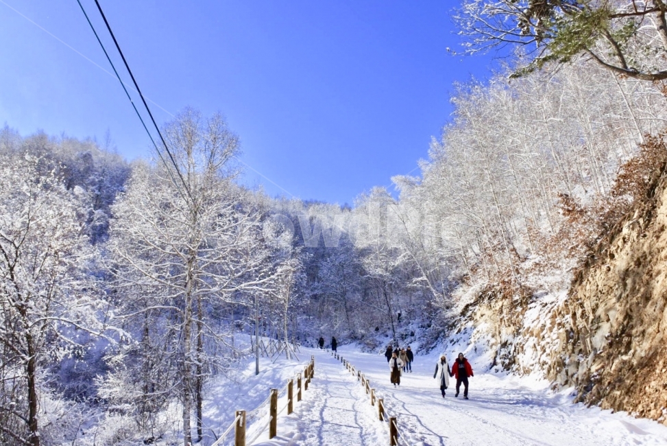 등산,눈,산,겨울,강원도,겨울,계절,winter,season,자연,풍경,nature,landscape,사람들,대중,군중,other people,crowd,outdoors,옥외