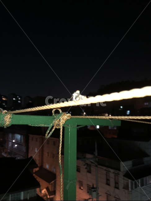 파리,파리짝짓기,fly,파리교미,파리번식