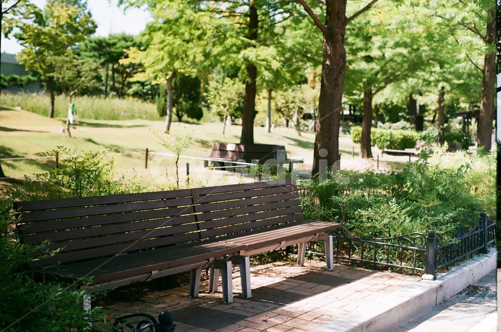 쉼터,벤치,녹색,푸름,자연,휴식,힐링,rest,relaxation,healing