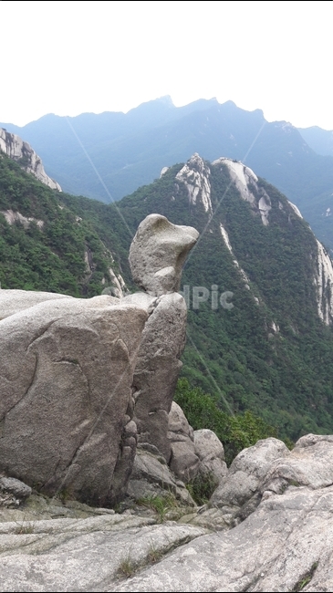 북한산,바위,오리,풍경,자연,국립공원,산,자연,풍경,nature,landscape,한국자연풍경,한국자연경관,korea nature landscape,slope,경사,outdoors,옥외,cliff,낭떠러지,mountain