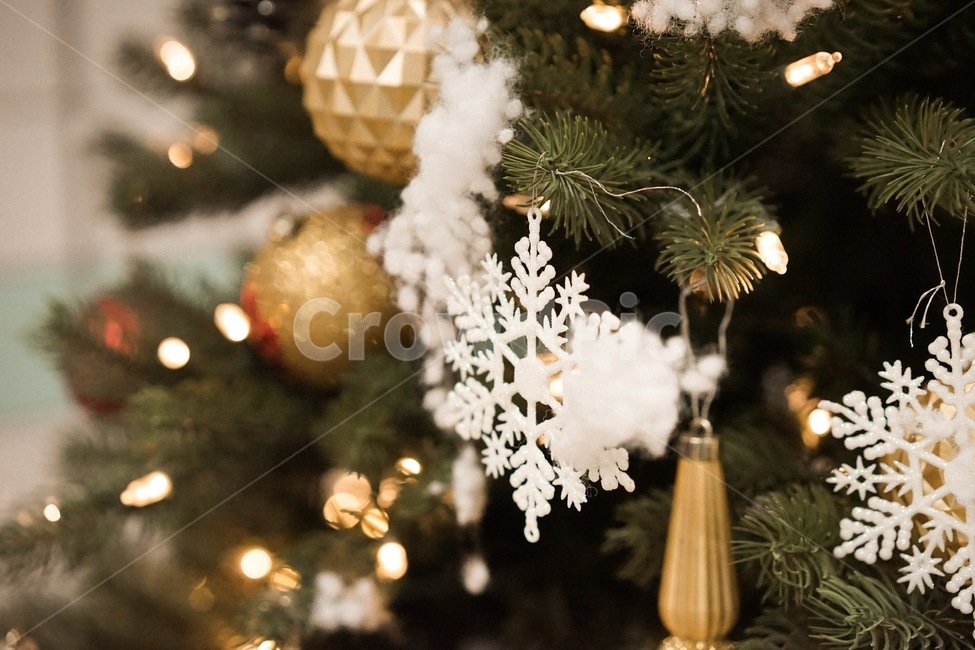 트리,크리스마스,겨울,tree,성탄절,겨울,계절,winter,season,메리크리스마스,성탄절,merry christmas