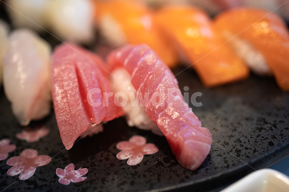 초밥,음식,일식,맛집,일본음식,쓰시,sushi,참치초밥