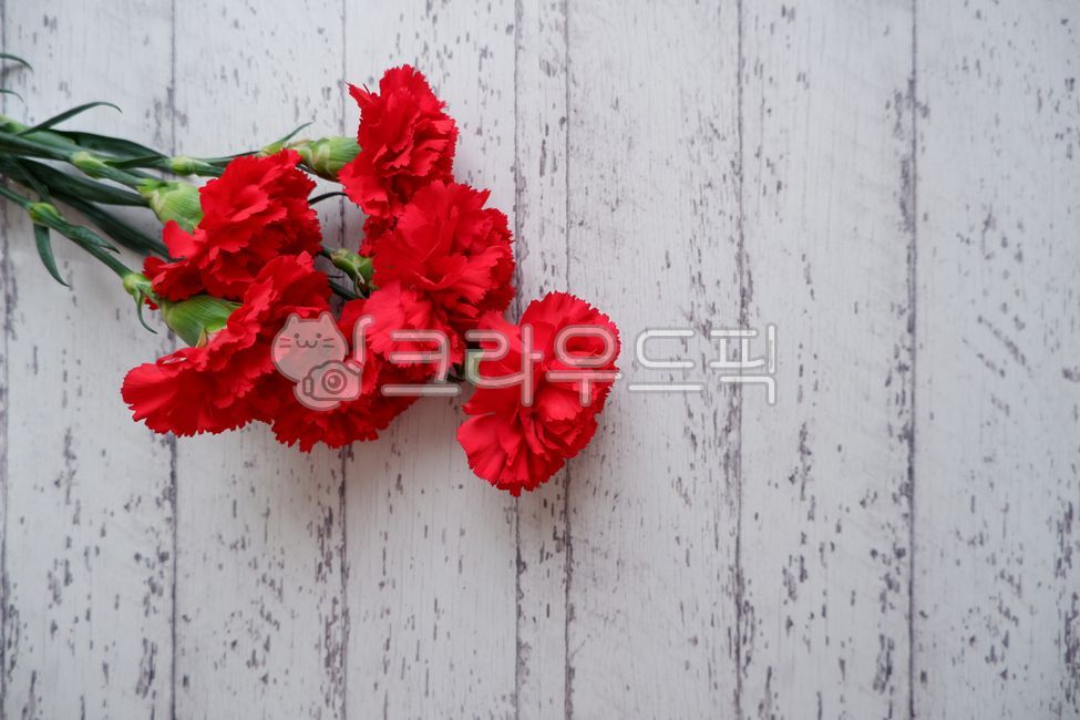 gift,floal,bouguet,carnation,spring flowers,fresh flowers,flower gift,wood,mothersday,woodentable,Teachers day,family month,natural,bouquet,Mothers Day,flower,Red,flower background,redcarnation