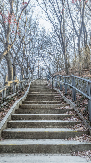 계단,산행,오르막길,겨울산행,낙엽,겨울,계절,winter,season,자연,풍경,nature,landscape,banister,난간,handrail,staircase,railing