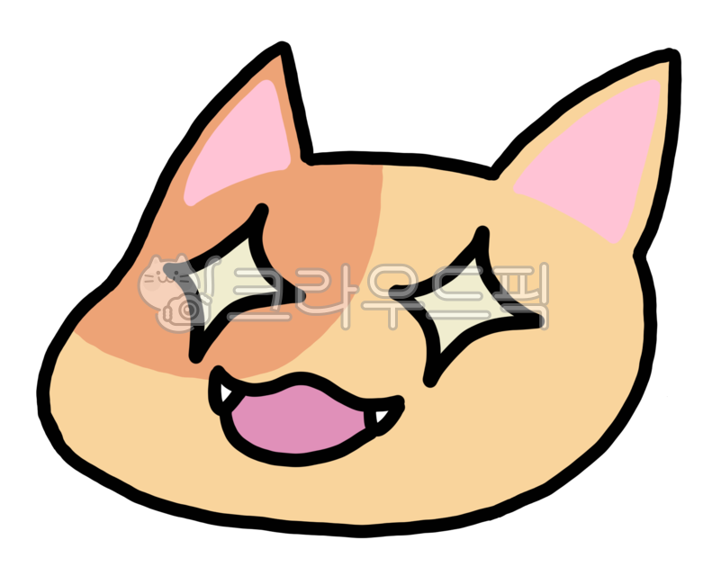 character,expression,cat,cuteness,cat expression,cat character,cat breed,fun