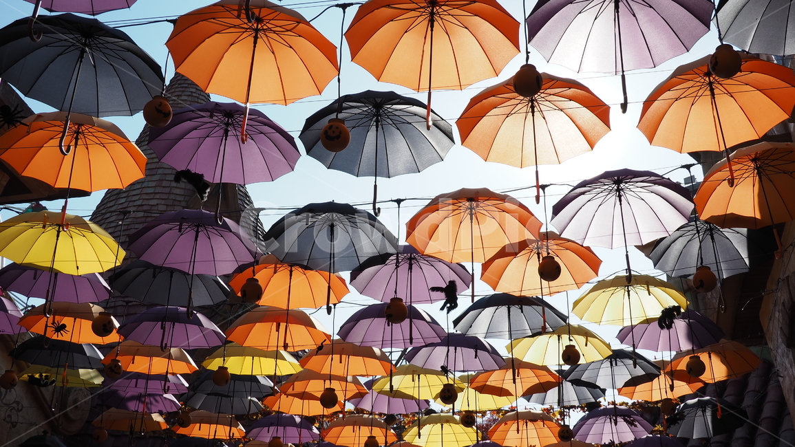우산,색,컬러,하늘,sky,umbrella,color,colorful,주황색,orange,노란색,yellow,보라색,purple