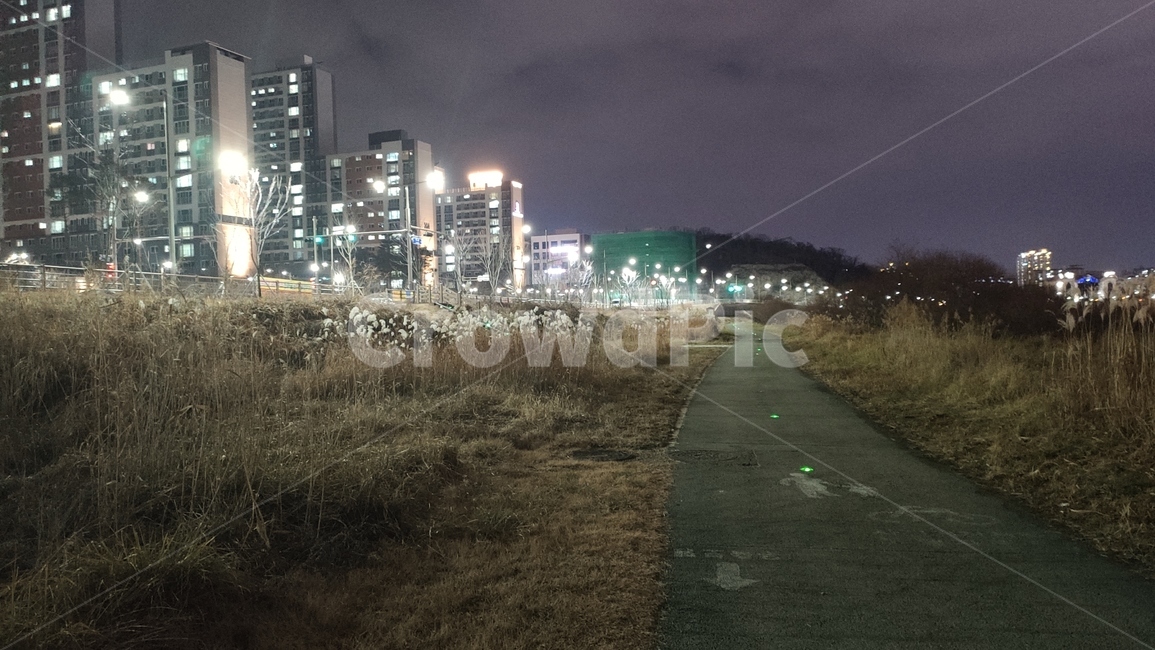 전주시,삼천천야경,야경,천변야경,도시천야경,삼천천,nature,자연,outdoors,옥외,flare,플레어,빛,light