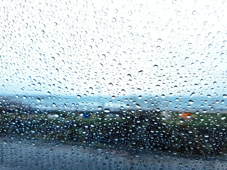 빗방물,비,창문,날씨,풍경,비,비오는날,rain,rainy