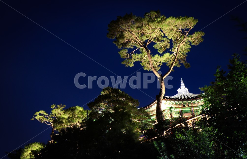 응봉산,팔각정,야경,명소,휴식공간,한옥,한국,peaceful,평화로운,편안한,휴식처,힐링,안락한,따뜻한,warm,분위기,한국도시경관,맑은,서울,깨끗한,청명한,한국도시풍경,풍경,야경,밤,풍경,nightscape,night,landscape