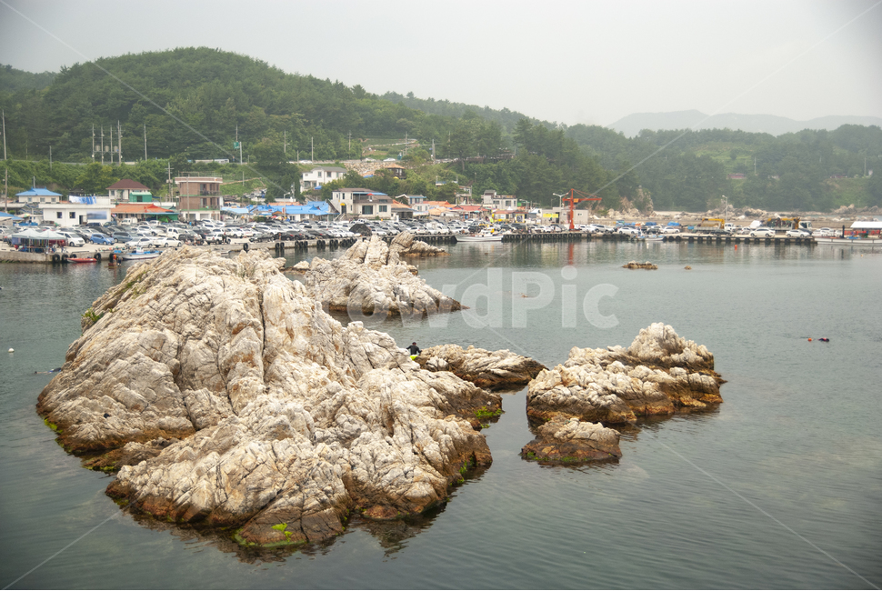 장호마을,장호항,장호해수욕장,장호해변,해수욕장,동해바다,삼척바다,삼척해변