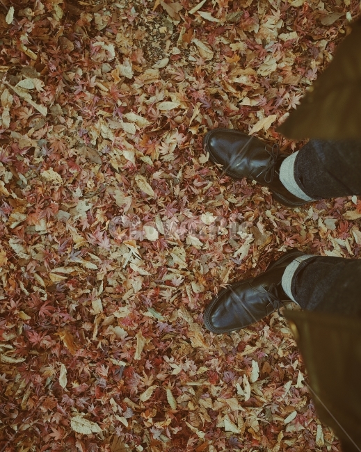 가을사진,낙엽,리코gr2,낙엽밟기,가을이미지,자연이미지,풍경사진,가을,계절,fall,autumn,season,사람,인물,인간,human,person,신체일부,몸,body,ground,바닥