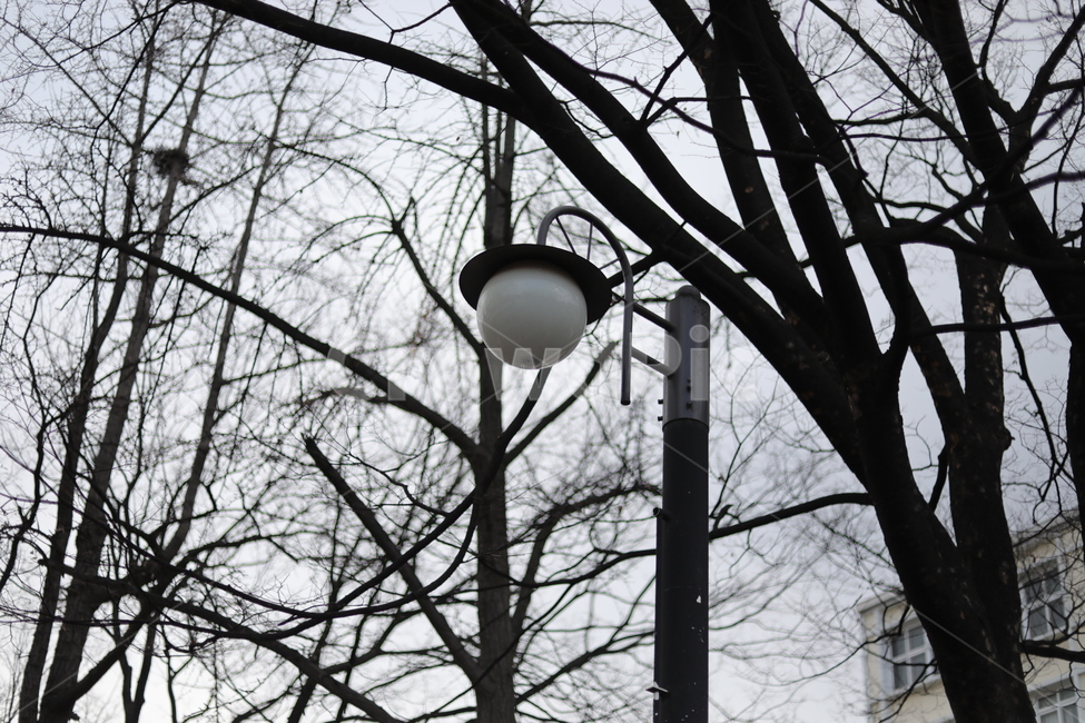 외로움,쓸쓸함,한국적,lamppost,램프포스트