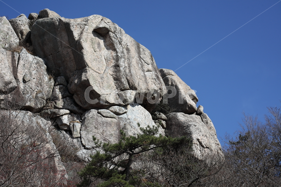 금산,바위,남해,rock,한려해상국립공원,자연풍경,남해금산,자연,풍경,nature,landscape,cliff,낭떠러지,outdoors,옥외