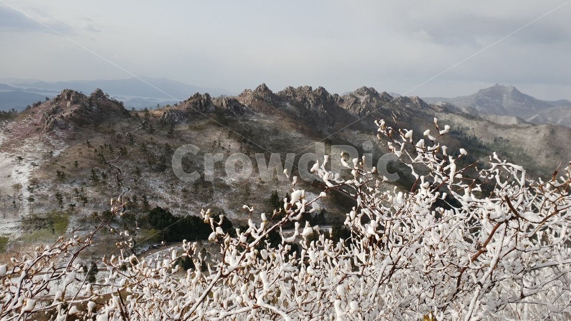 주작산,덕룡산,눈꽃,풍경,산,겨울,계절,winter,season,자연,풍경,nature,landscape,outdoors,옥외