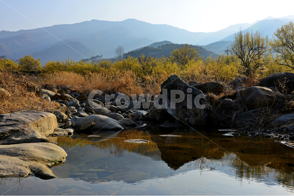 전남,구례,산동,산수유마을,산동산수유마을,산수유,산수유꽃,반영,mountainrange,산맥,mountain,산,nature,자연,water,물,outdoors,옥외,자연,풍경,nature,landscape